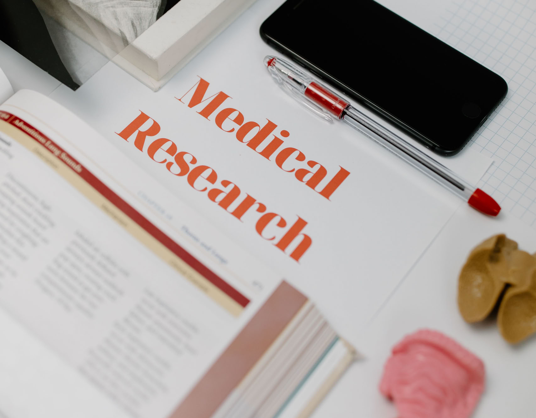 Flat lay of medical research materials with books and anatomical models.